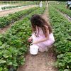 giaa.ibrahim