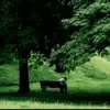 ecrivainamoureux