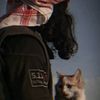 toblak_7
