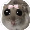 tuiiuqtv_