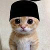 raja_dollarr