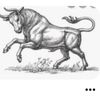 user9x6tohot5e
