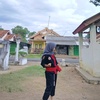 sya_fda1