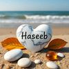 haseeb_ch2
