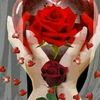 _user5877