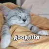 24iwanttosleep