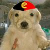 papuchovxd