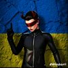 stepan2013falko