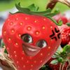ndy.za8