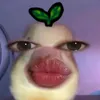 mylenejjammang