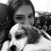 rarapeaii