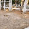 hasan.hseyin051