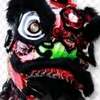 jayden.is..liondance