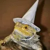 lizard_wizard8359
