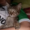 luvlynysaa