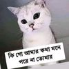 user4935036670794