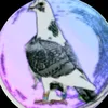 userqrfcg6gebw