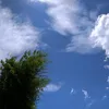 girlsreminder4