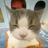 lmqunh__