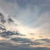 gavlxz