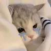 lann_159