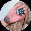 alich21210