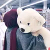winterr_bearr