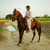 choudhryhusnain