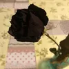 galina.fedotova9