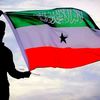 ahmedhasanqodah1