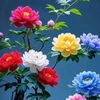 hayal_hanem98