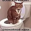 yapid_aras42
