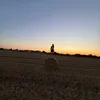 polcix_polcixx12390