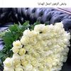 fa_ali1970