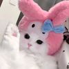aissyy4a