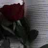 emanuellygomes954