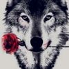 ..montaser_01