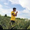 encik_nanas