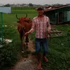 ngtaicao12