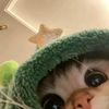 nuu_urul