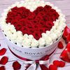 user41081440439705