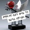amaraye1233