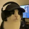yzepubgm