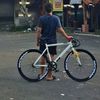 pandoraafixie