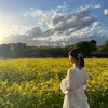 minotan.0917
