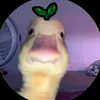 sunshie26