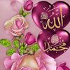 sk..jibon0