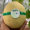 Petani_Gen_Z