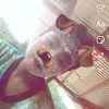 numivnehibi