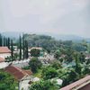cihuygoreng0
